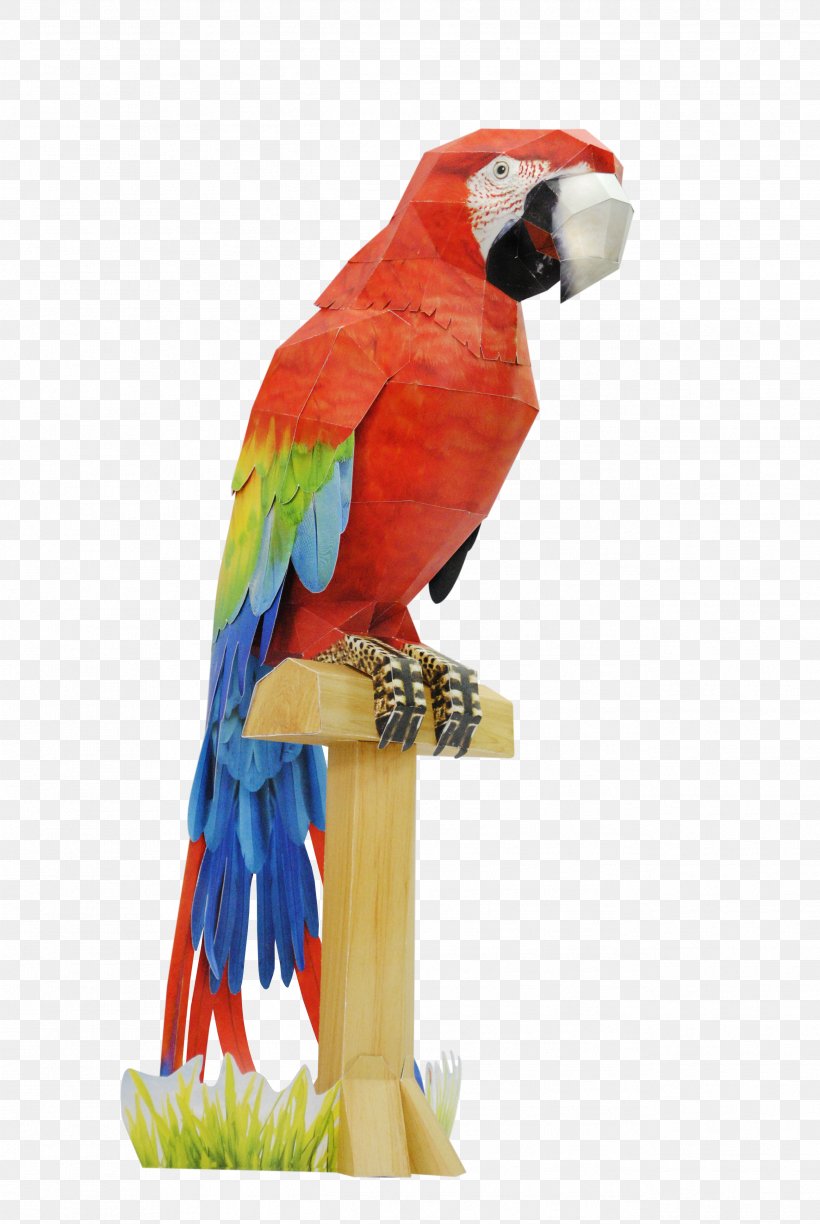 Budgerigar Macaw Paper Bird Parrot, PNG, 2592x3872px, Budgerigar, Animal, Beak, Bird, Bird Supply Download Free