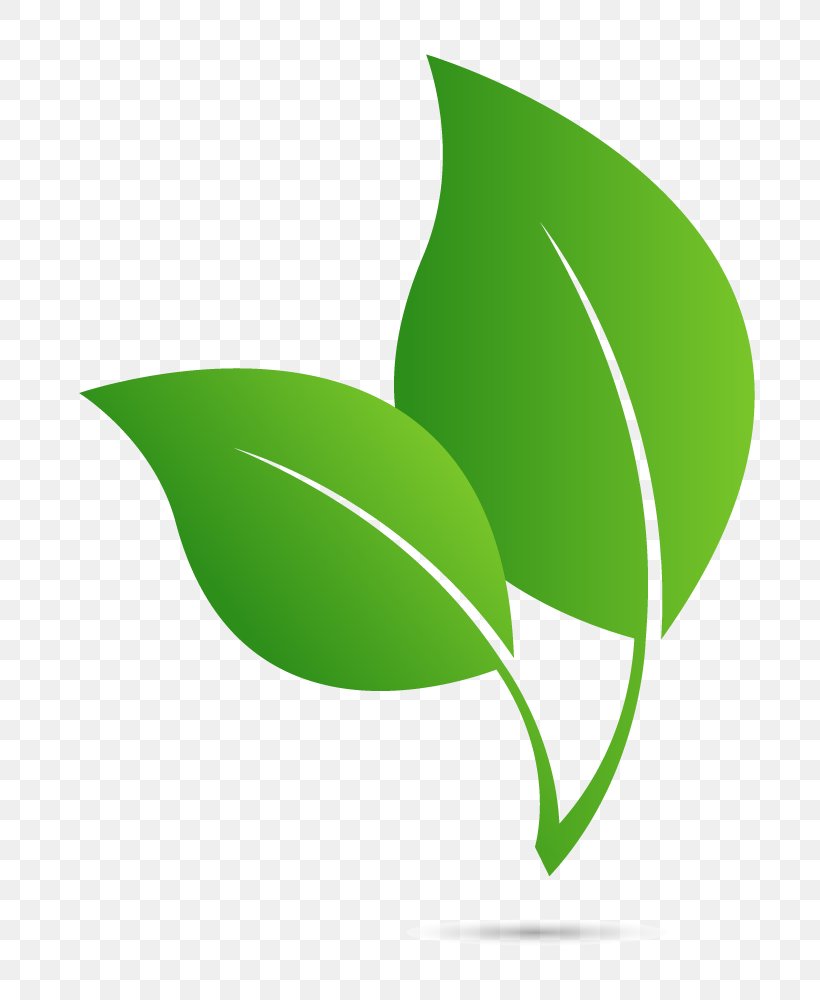 Chelsea District Library Central Library Midwest Literary Walk Leaf Logo, PNG, 752x1000px, Leaf, Author, Chelsea, Grass, Green Download Free