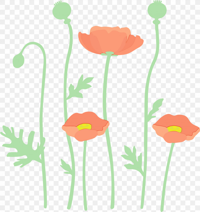 Plant Stem Flower Plant Pedicel Poppy Family, PNG, 2837x3000px, Poppy Flower, Coquelicot, Corn Poppy, Flower, Paint Download Free
