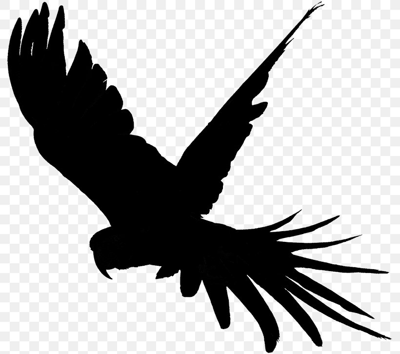 Clip Art Fauna Silhouette Beak Feather, PNG, 800x726px, Fauna, Accipitriformes, Beak, Bird, Bird Of Prey Download Free