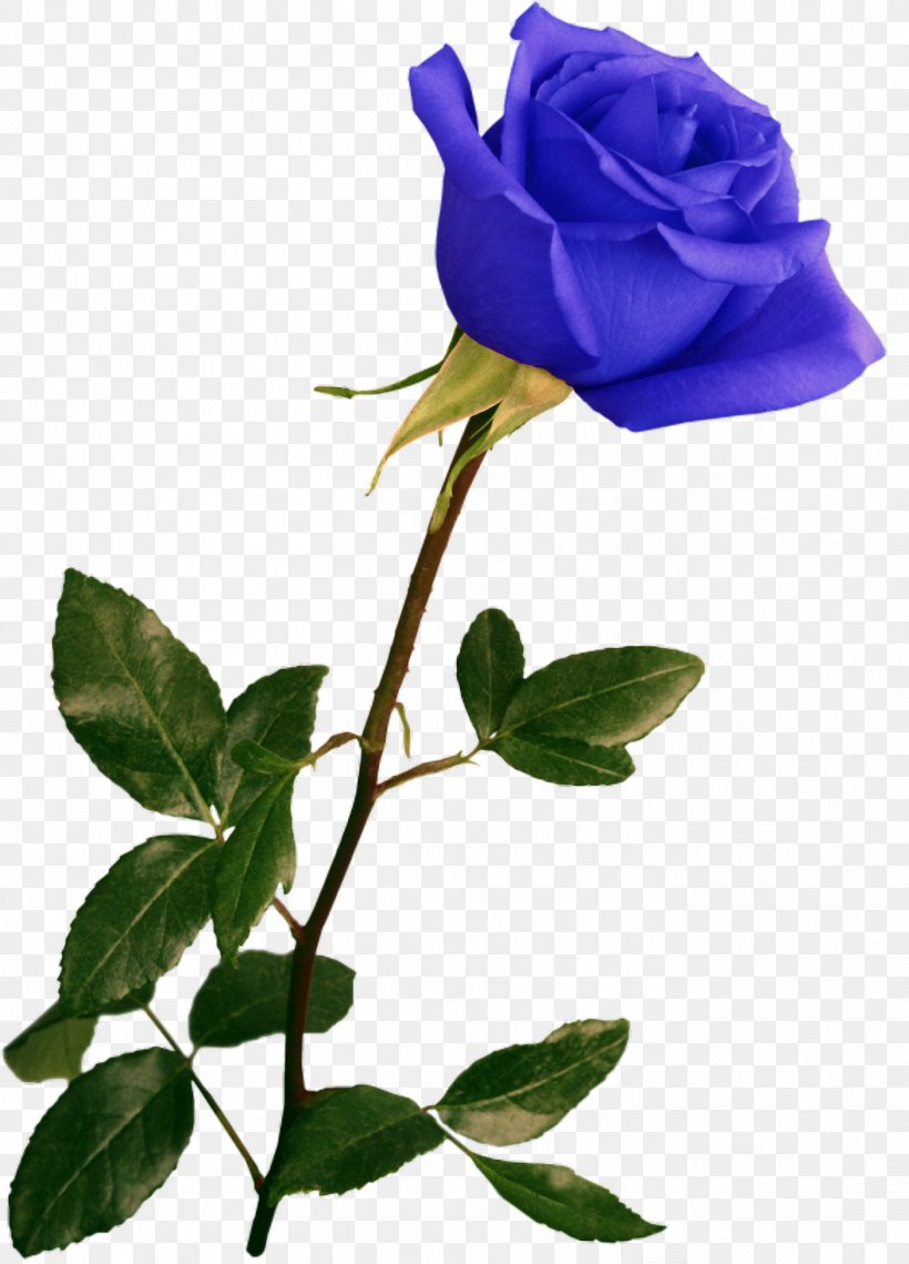 Flower Low Poly Art, PNG, 1405x1952px, Flower, Art, Blue Rose, Branch, Color Download Free