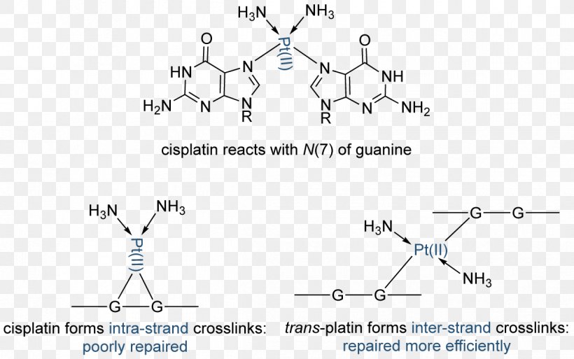 Chemistry Science Technology Catalysis Chemical Element, PNG, 1210x757px, Chemistry, Area, Biological Process, Biology, Block Download Free