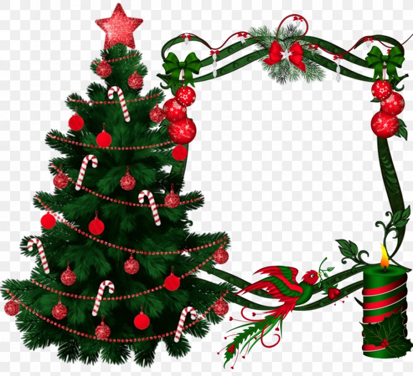 Christmas Tree Christmas Ornament Winter Cluster, PNG, 900x822px, Christmas Tree, Christmas, Christmas Decoration, Christmas Ornament, Conifer Download Free