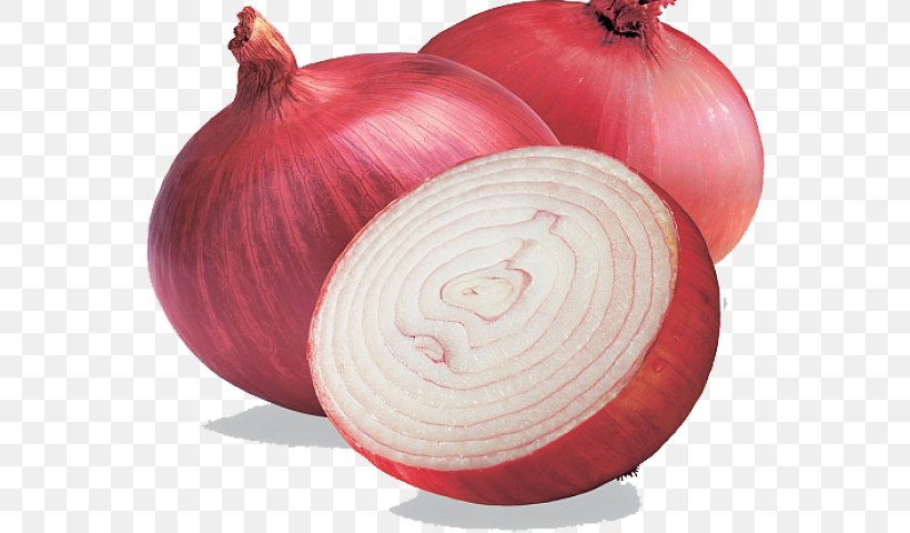 Onion Cartoon, PNG, 640x480px, Shallots, Allium, Amaryllis Family, Chili Con Carne, Food Download Free