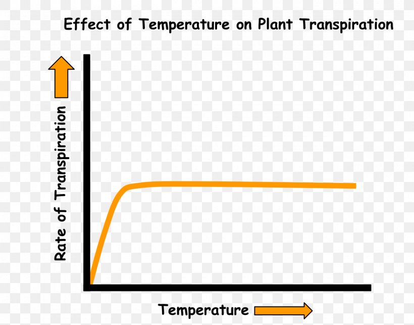 Transpiration Soil Temperature Water Stoma, PNG, 1280x1005px, Transpiration, Area, Brand, Diagram, Document Download Free