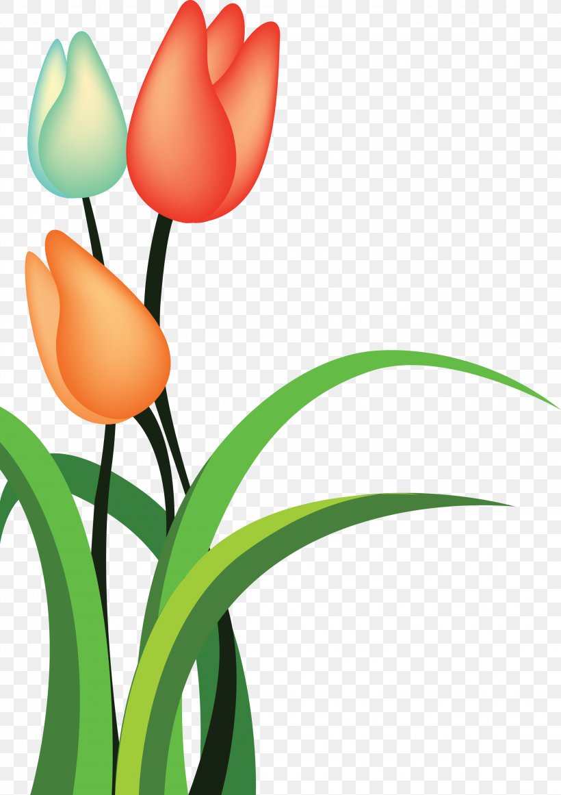 Tulip Cartoon Flower, PNG, 2244x3179px, Tulip, Cartoon, Cut Flowers, Flora, Floral Design Download Free