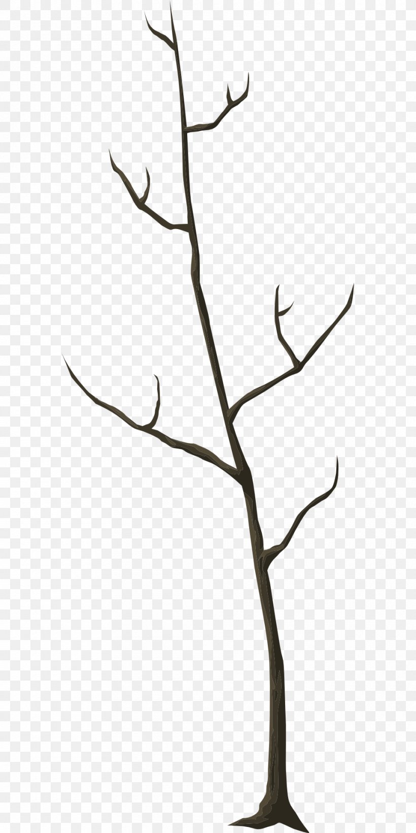 Twig Leaf Tree Trunk Branch, PNG, 960x1920px, Twig, Autumn, Blackandwhite, Botany, Branch Download Free