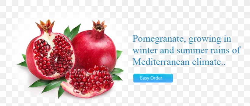 Pomegranate Juice Fruit Salad, PNG, 919x392px, Pomegranate Juice, Accessory Fruit, Aril, Capsule, Diet Food Download Free