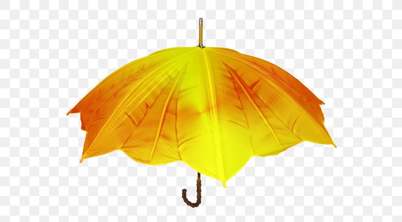 Umbrellas & Parasols Design Antuca Clothing, PNG, 600x453px, Umbrella, Antuca, Art, Clothing, Creativity Download Free