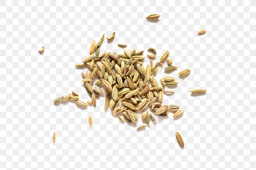 Fennel Spice Krosby AS Herb Dill, PNG, 4500x3004px, Fennel, Anethum, Anise, Cereal, Cereal Germ Download Free