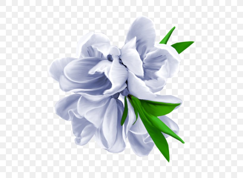 Flower Photography Clip Art, PNG, 600x600px, Flower, Computer, Cut Flowers, Flower Bouquet, Flowering Plant Download Free