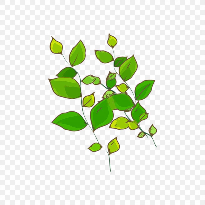 Green Leaf Plant Computer File, PNG, 1024x1024px, Green, Branch, Concepteur, Flower, Grass Download Free
