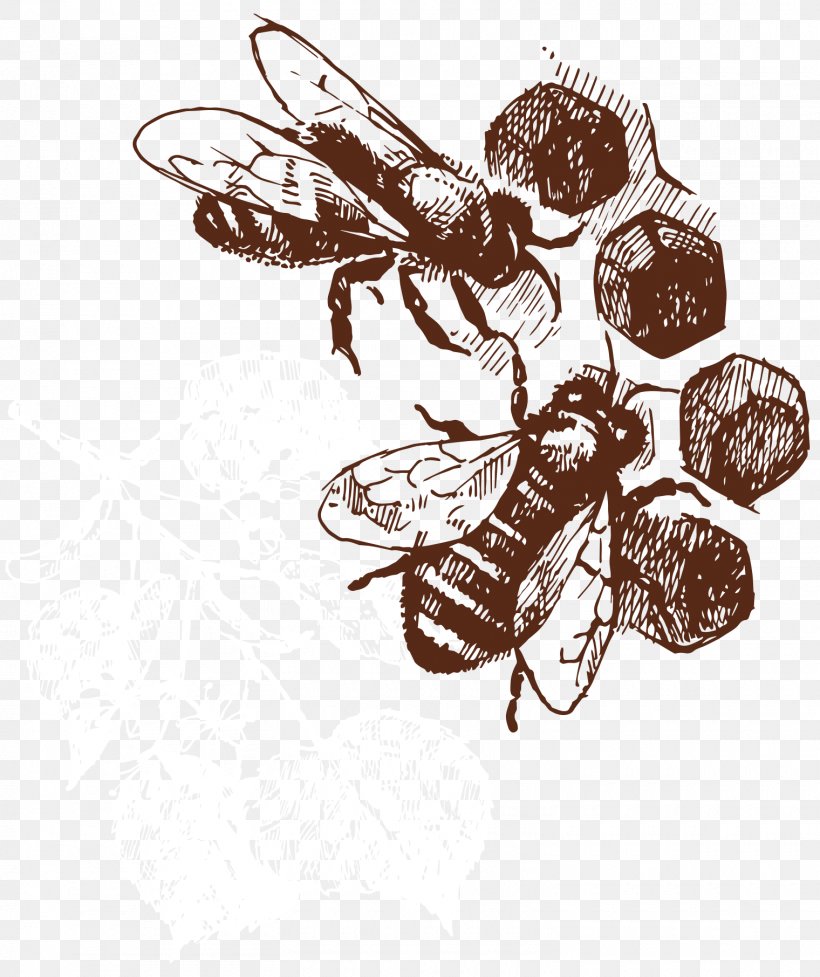 Honey Bee Honeycomb Clip Art, PNG, 1520x1812px, Bee, Beeeater, Beehive, Black And White, Doodle Download Free