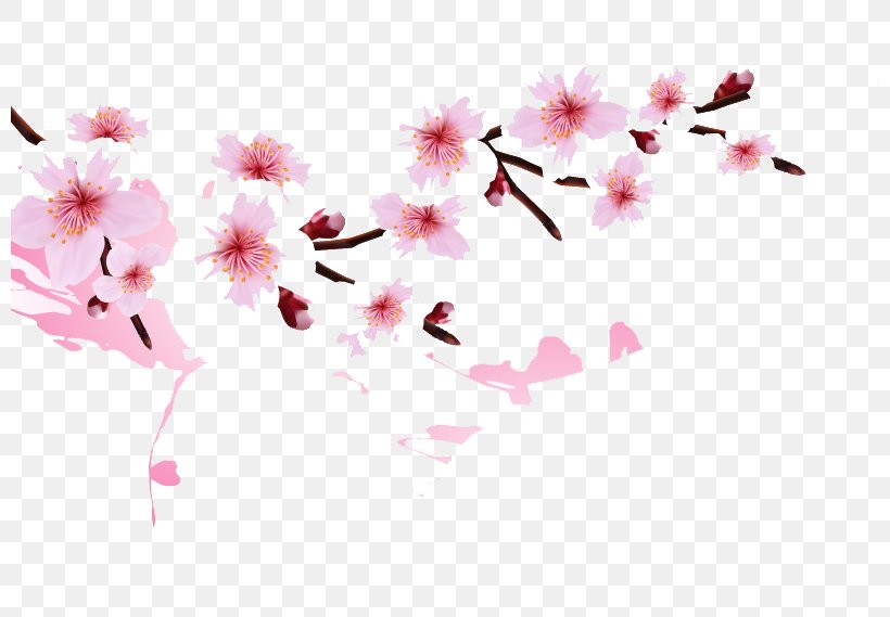 National Cherry Blossom Festival Clip Art, PNG, 800x569px, National Cherry Blossom Festival, Blossom, Branch, Cherry, Cherry Blossom Download Free