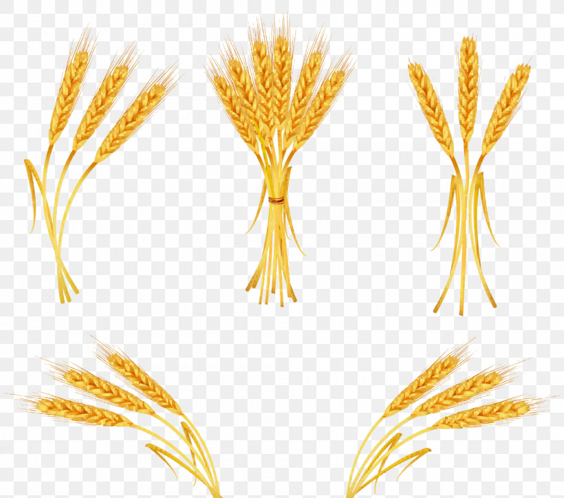 Wheat, PNG, 1000x884px, Wheat, Bread, Cereal, Crop, Grain Download Free