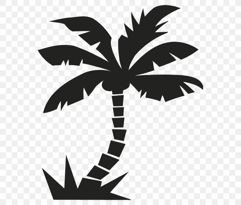 Arecaceae Sticker Wall Decal Tree شنني (قابس), PNG, 597x700px, Arecaceae, Arecales, Black And White, Branch, Business Download Free