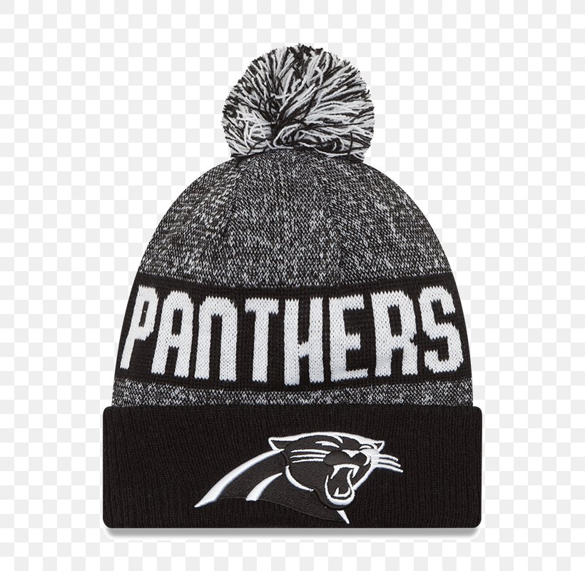 Carolina Panthers Los Angeles Rams Miami Dolphins NFL Detroit Lions, PNG, 800x800px, Carolina Panthers, Baseball Cap, Beanie, Brand, Cap Download Free