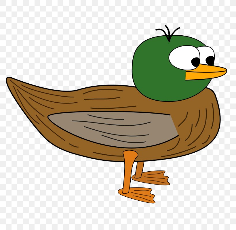 Daffy Duck Mallard Vector Graphics Clip Art, PNG, 800x800px, Duck, American Black Duck, Beak, Bird, Cartoon Download Free