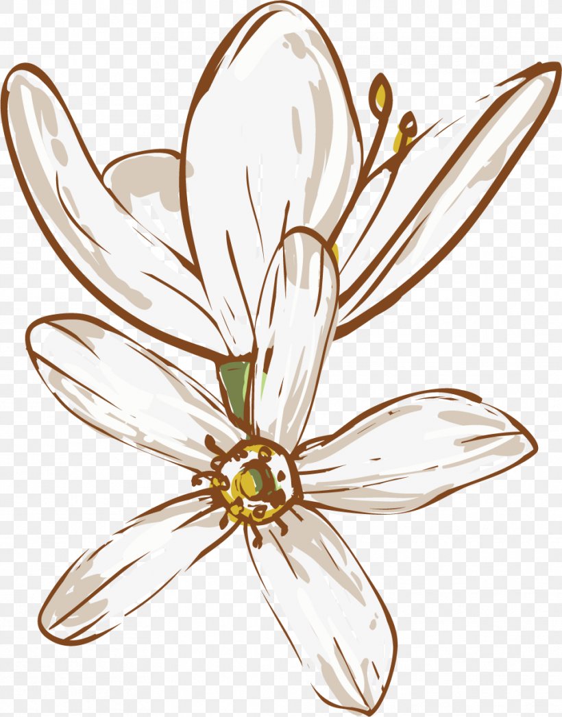 Drawing, PNG, 961x1226px, Drawing, Art, Artwork, Body Jewelry, Cut Flowers Download Free