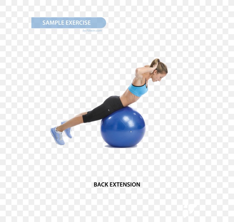 Exercise Balls Pilates Abdominal Exercise Core, PNG, 600x780px, Exercise Balls, Abdomen, Abdominal Exercise, Arm, Balance Download Free