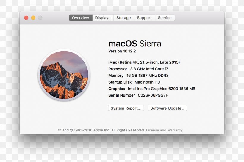 Mac Mini MacBook Pro Graphics Cards & Video Adapters MacOS Sierra, PNG, 1396x932px, Mac Mini, Apple, Brand, Computer, Graphics Cards Video Adapters Download Free