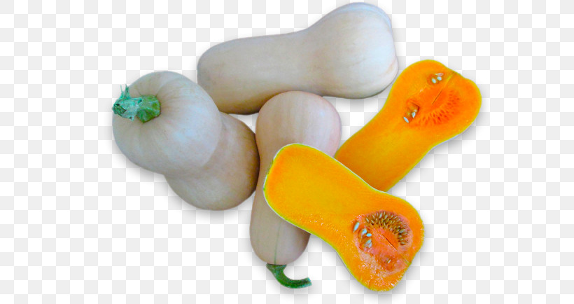 Orange, PNG, 770x434px, Organic Farming, Agriculture, Butternut Squash, Color, Courge Download Free