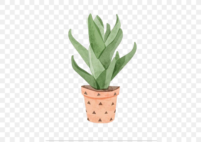 Aloe Vera Watercolor Painting Cactaceae Illustration, PNG, 462x580px, Aloe Vera, Aloe, Art, Barbary Fig, Cactaceae Download Free