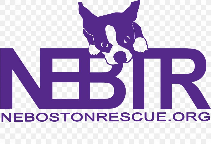 Boston Terrier Cat Pet T-shirt, PNG, 1813x1241px, Boston Terrier, Adoption, Animal, Area, Boston Download Free