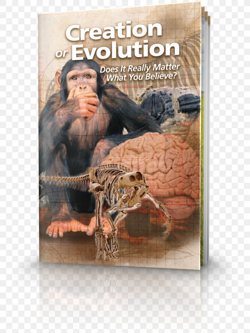 Creation Or Evolution: Does It Really Matter What You Believe Charles Darwin Creation–evolution Controversy Science, PNG, 748x1093px, Watercolor, Cartoon, Flower, Frame, Heart Download Free
