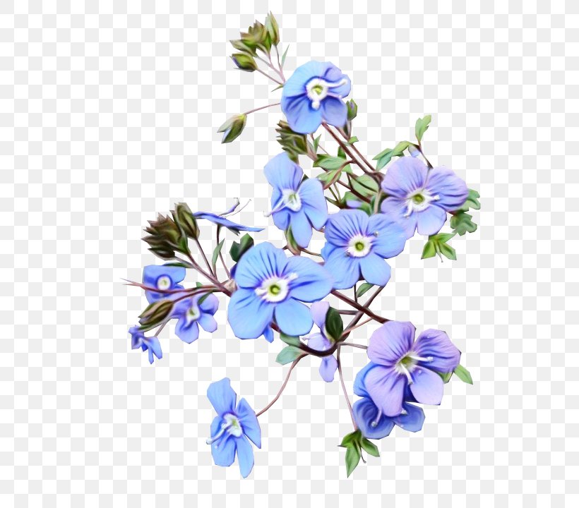 Floral Design Cut Flowers Blue Plants, PNG, 752x720px, Floral Design, Blue, Blue Bell Creameries, Borage Family, Colorado Blue Columbine Download Free