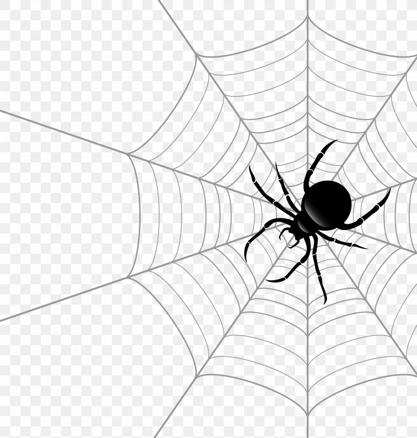 Spider Web Theridiidae Euclidean Vector, PNG, 2688x2829px, Spider Web, Abstract, Arachnid, Art, Arthropod Download Free