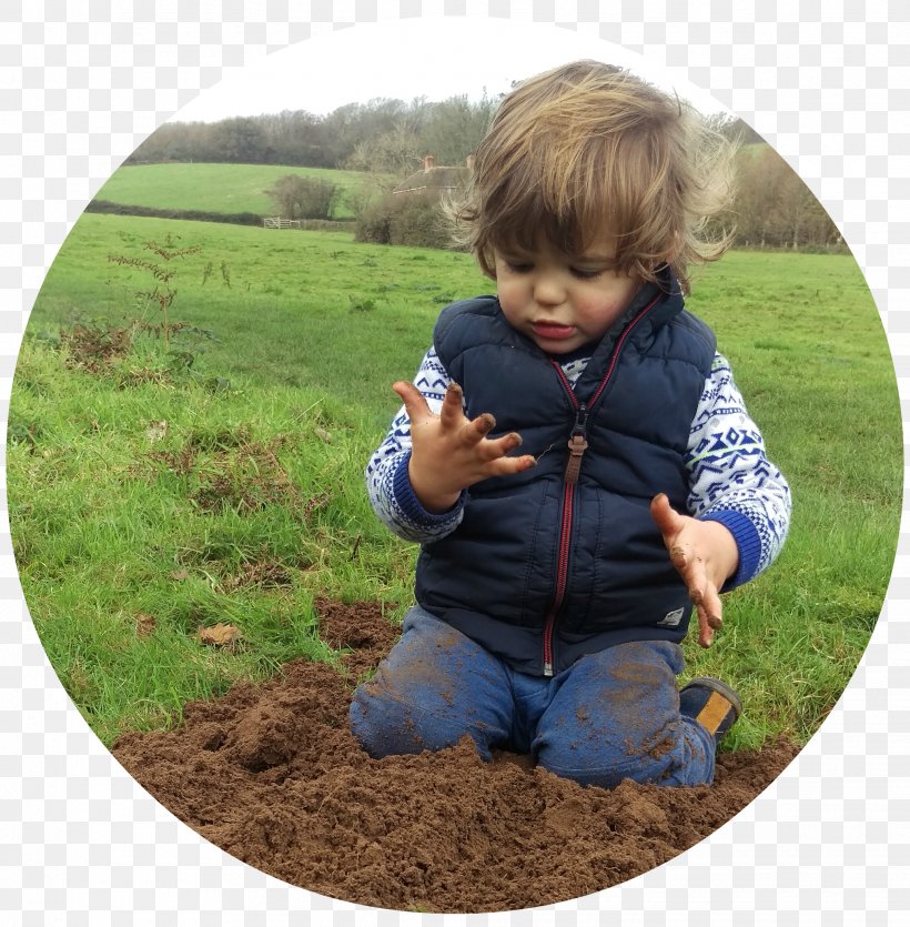Toddler Soil Tree, PNG, 2032x2070px, Toddler, Child, Field, Grass, Plant Download Free