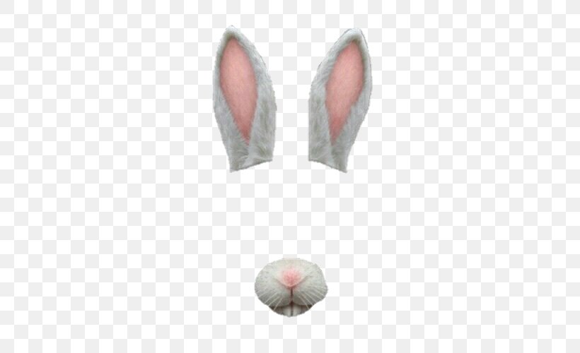 Easter Bunny Rabbit Sticker, PNG, 500x500px, Easter Bunny, Art, Dog, Drawing, Filter Design Download Free