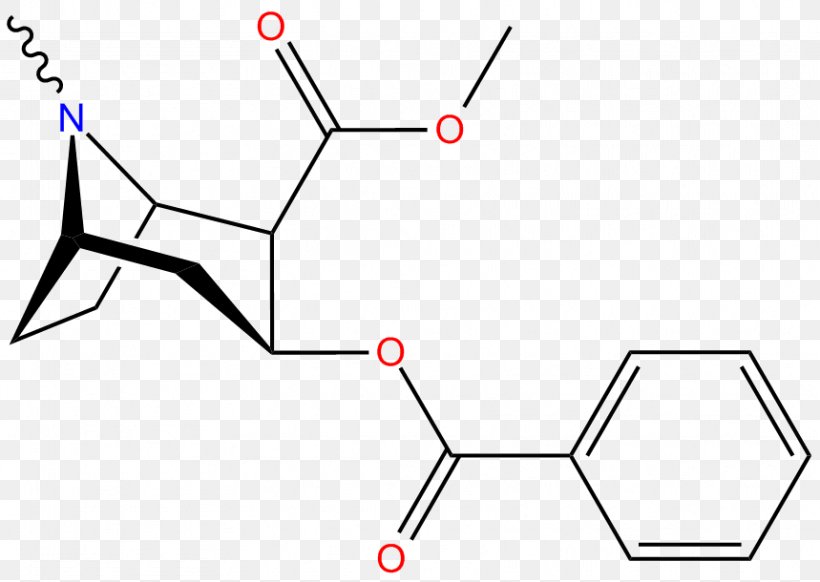 Erythroxylum Coca Alkaloid Tropane Serotonin Transporter, PNG, 859x610px, Coca, Adderall, Alkaloid, Area, Black And White Download Free