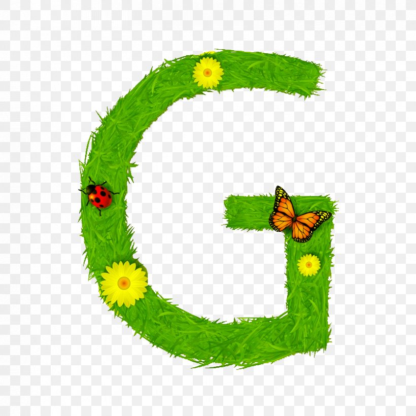 G Letter N B Illustration, PNG, 836x836px, Letter, Alphabet, Flora, Flowering Plant, Grass Download Free