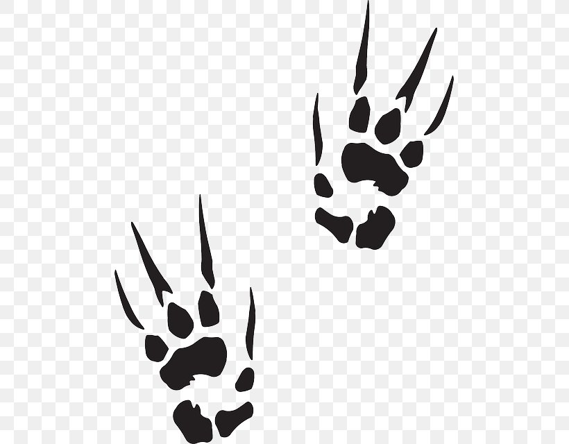 Paw Sticker Decal Printing Clip Art, PNG, 489x640px, Paw, Adhesive, Autoadhesivo, Black, Black And White Download Free