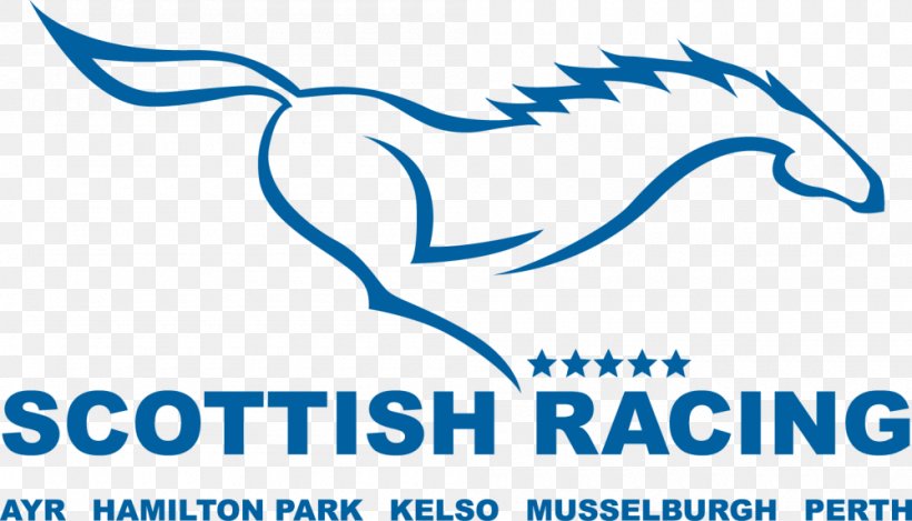 Perth Racecourse Organization Hamilton Park Racecourse Микрозаём 2018 Grand National, PNG, 1000x573px, 2018 Grand National, Organization, Area, Black And White, Blue Download Free