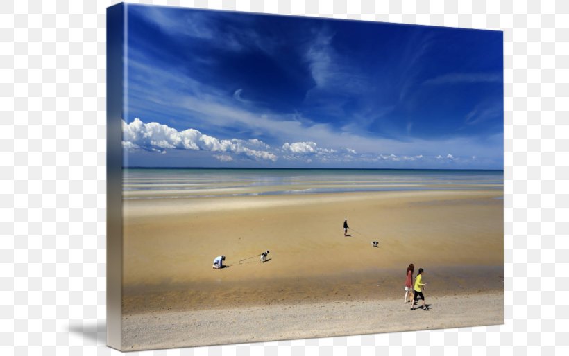 Shore Sea Gallery Wrap Picture Frames Art, PNG, 650x514px, Shore, Art, Beach, Canvas, Dog Download Free