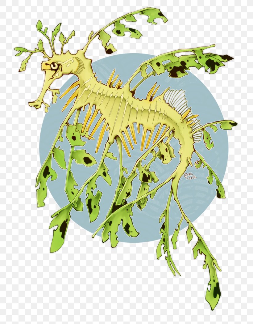 Syngnathidae Seahorse Leafy Seadragon Common Seadragon Drawing, PNG, 762x1048px, Syngnathidae, Animal, Art, Branch, Common Seadragon Download Free