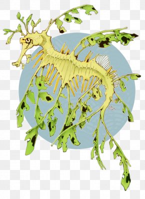 Leafy Seadragon Sea Monster Common Seadragon Drawing Png