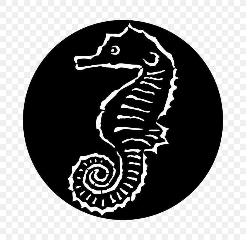 Seahorse Steel Theatrical Scenery Theatre, PNG, 800x800px, Seahorse, Black And White, Crab, Fish, Horse Download Free