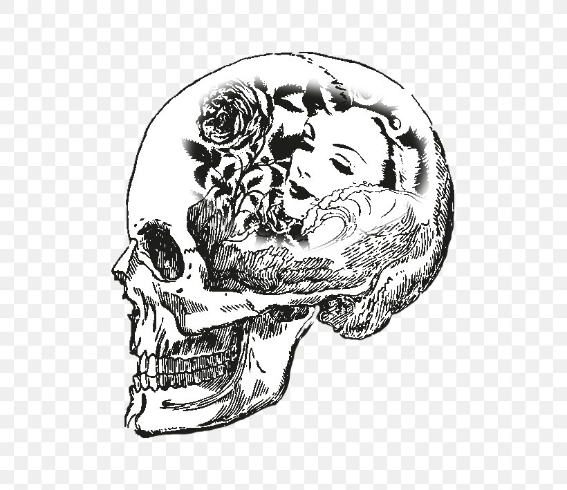 Skull Drawing Bone Skeleton Human Body, PNG, 709x709px, Watercolor, Cartoon, Flower, Frame, Heart Download Free