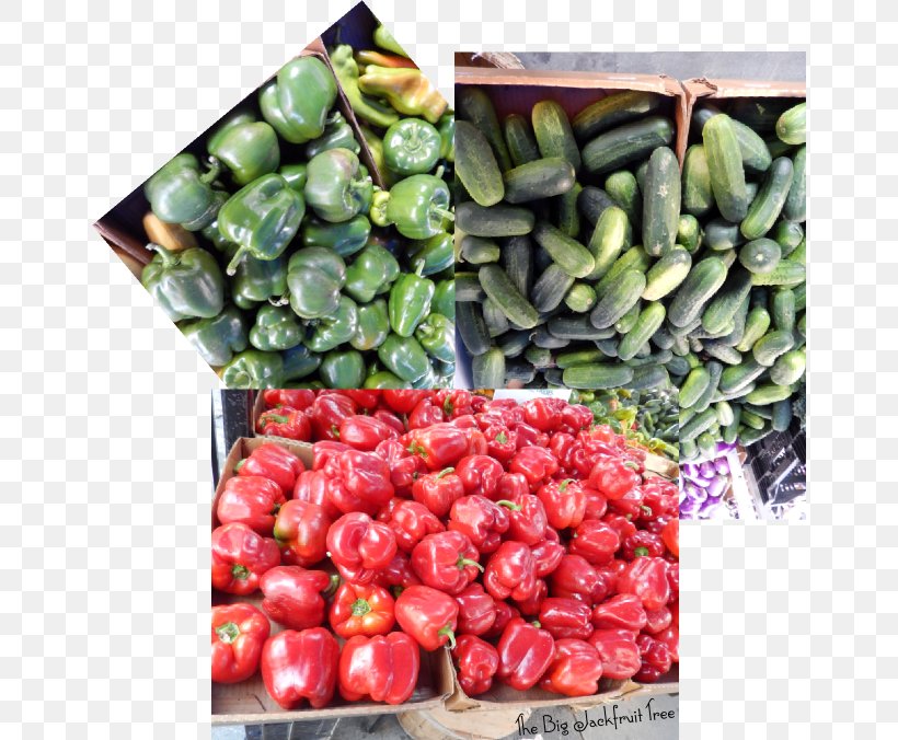 Union Square Greenmarket Chili Pepper Vegetarian Cuisine Food Farmers' Market, PNG, 652x676px, Union Square Greenmarket, Bell Peppers And Chili Peppers, Chili Pepper, Commodity, Food Download Free