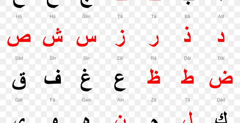 Arabic Alphabet Arabic Language Spoken Language Learning, PNG, 800x420px, Arabic Alphabet, Alphabet, Arabic Language, Area, Brand Download Free