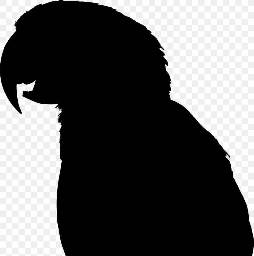 Beak Clip Art Silhouette Black M, PNG, 1487x1500px, Beak, Black M, Head, Silhouette Download Free