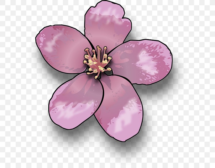 Drawing Blossom Clip Art, PNG, 623x640px, Drawing, Art, Blossom, Cherry Blossom, Floral Design Download Free