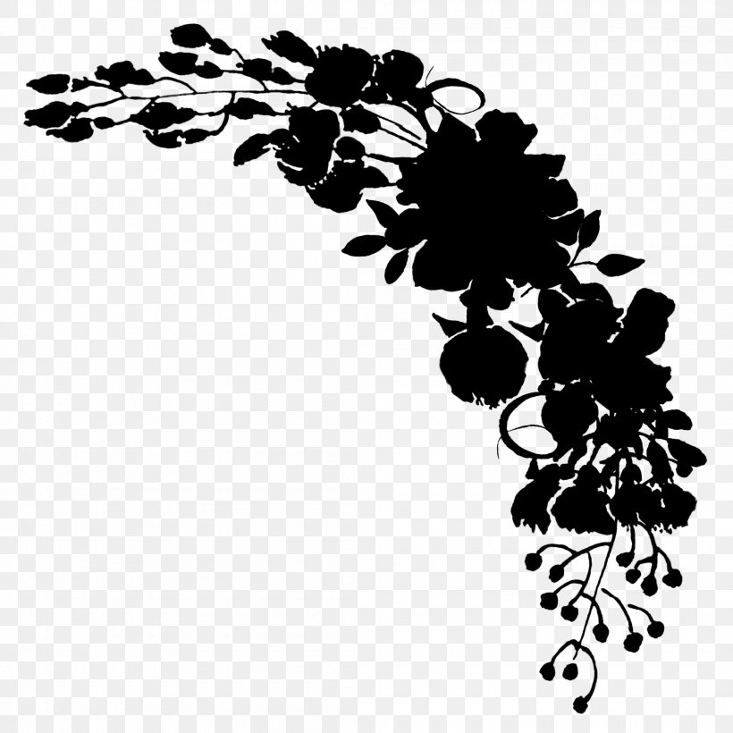 Grape Black & White, PNG, 2100x2100px, Grape, Black M, Black White M, Blackandwhite, Botany Download Free