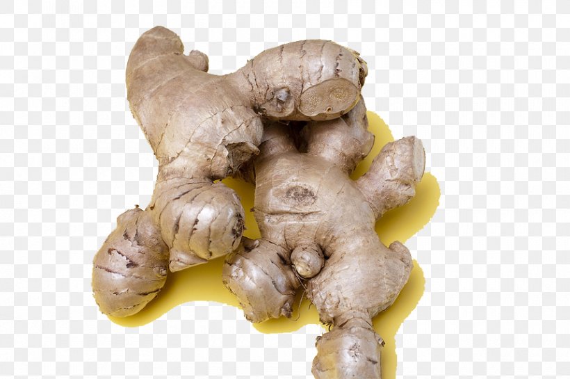 Root Vegetables Ginger Rhizome, PNG, 860x572px, Root Vegetables, Condiment, Dysmenorrhea, Food, Ginger Download Free