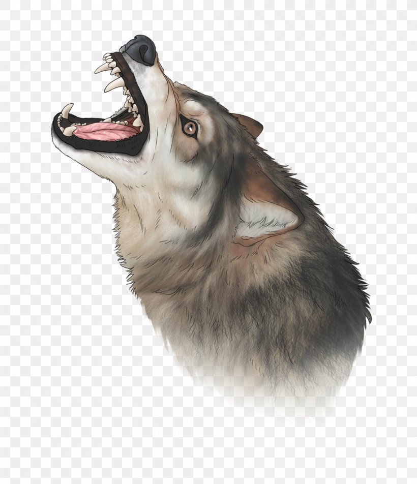 Saarloos Wolfdog Siberian Husky Alaskan Malamute Sakhalin Husky Utonagan, PNG, 1000x1162px, Saarloos Wolfdog, Alaskan Klee Kai, Alaskan Malamute, Canadian Eskimo Dog, Canidae Download Free