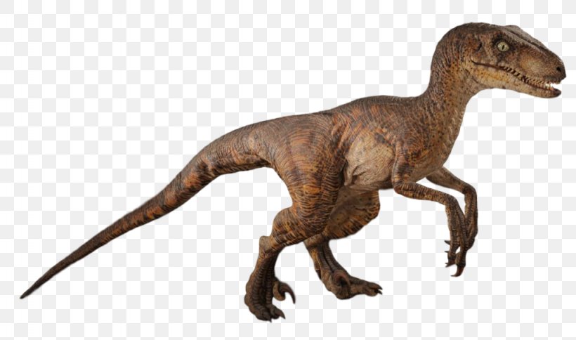Velociraptor Robert Muldoon Jurassic Park Film Dinosaur, PNG, 1024x605px, Velociraptor, Animal Figure, Character, Dinosaur, Film Download Free